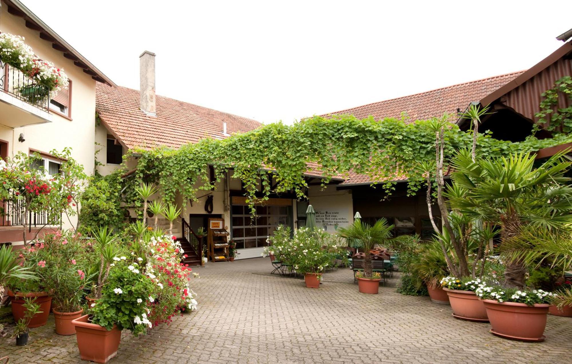Weingut Und Gaestehaus Vongerichten Όμπερχάουζεν Εξωτερικό φωτογραφία